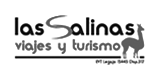logo las salinas